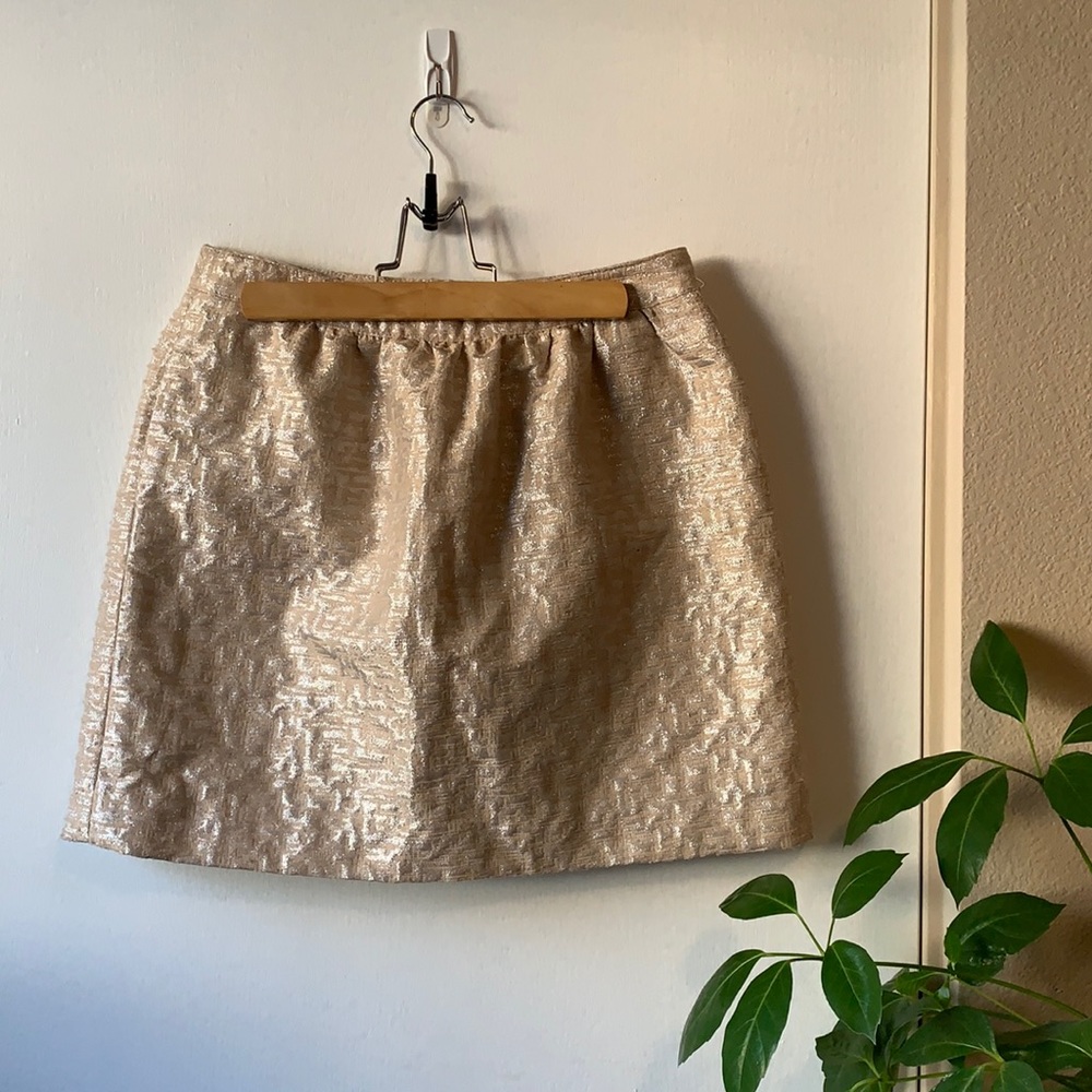 LOFT | Champagne Mini Skirt